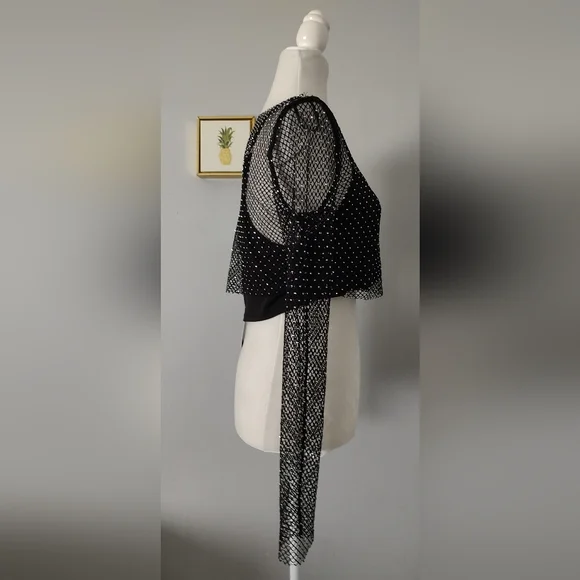 Sincerely Jules Crop top Mesh  Black Shiny Style Sexy  2 Piece New    Medium - Picture 4 of 10